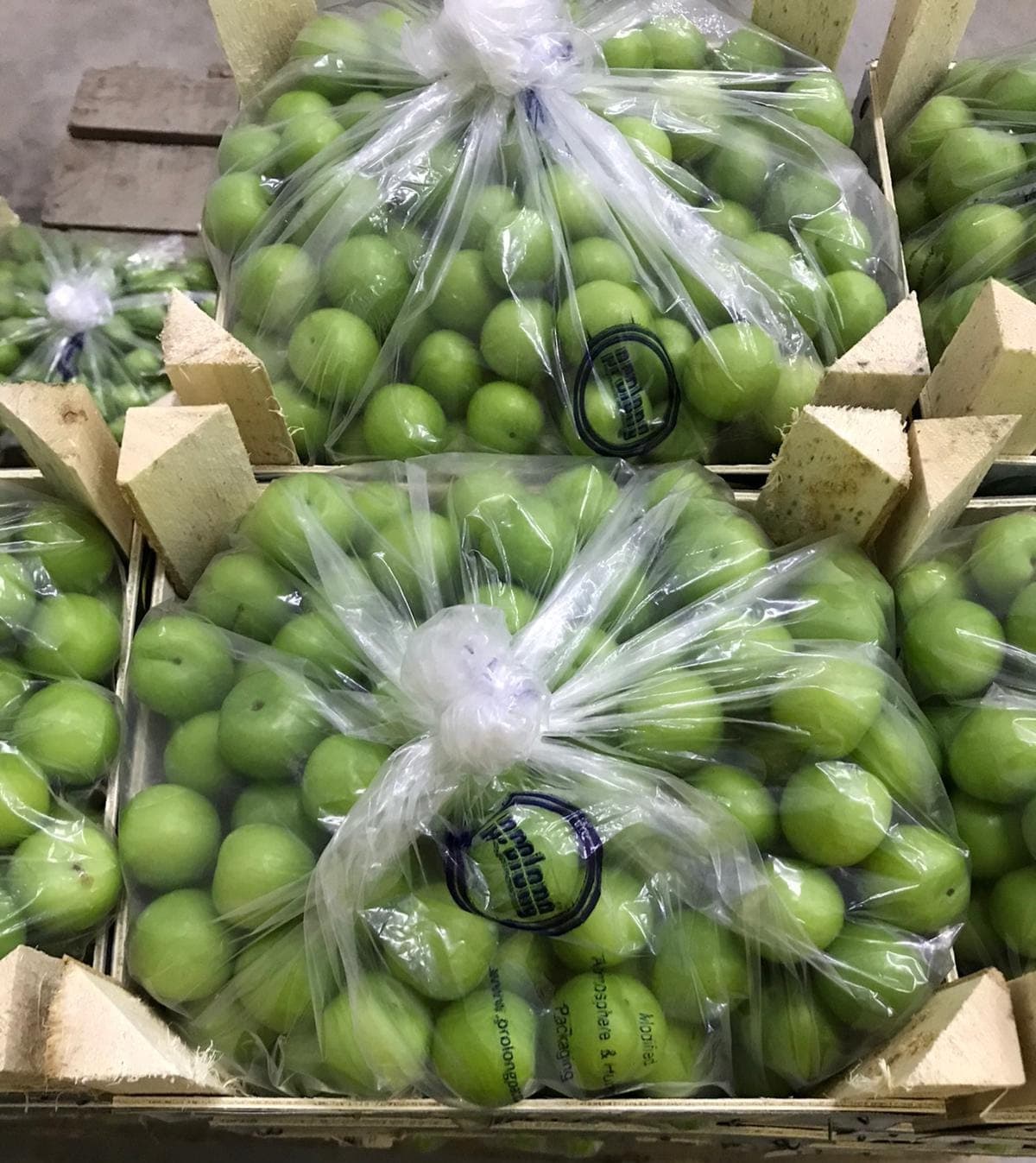 Fresh produce in MAP packaging